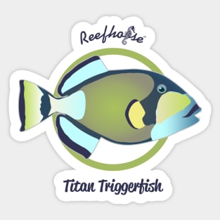 Titan Triggerfish Sticker